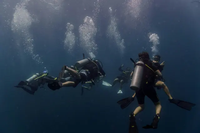 A group of scuba divers swimming together underwater, led by their guide